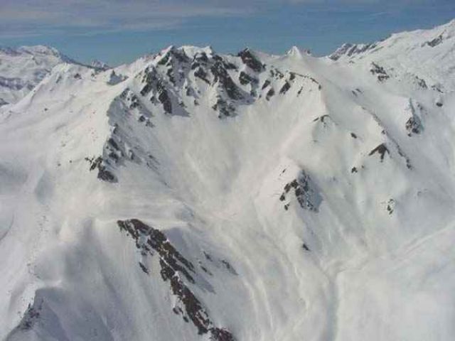 Chardonnet01.jpg